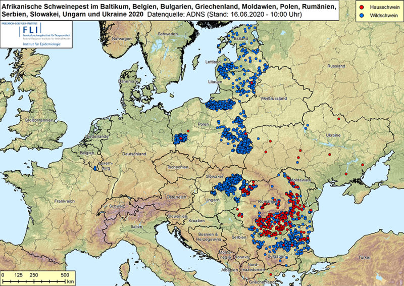 Afrikanische Schweinepest im Baltikum, Belgien, Bulgarien, Griechenland, Moldawien, Polen, Rumänien, Serbien, Slowakei, Ungarn und Ukraine 2020