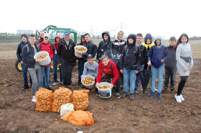 Kartoffelernte mit dem Abgeordneten auf dem Biohof