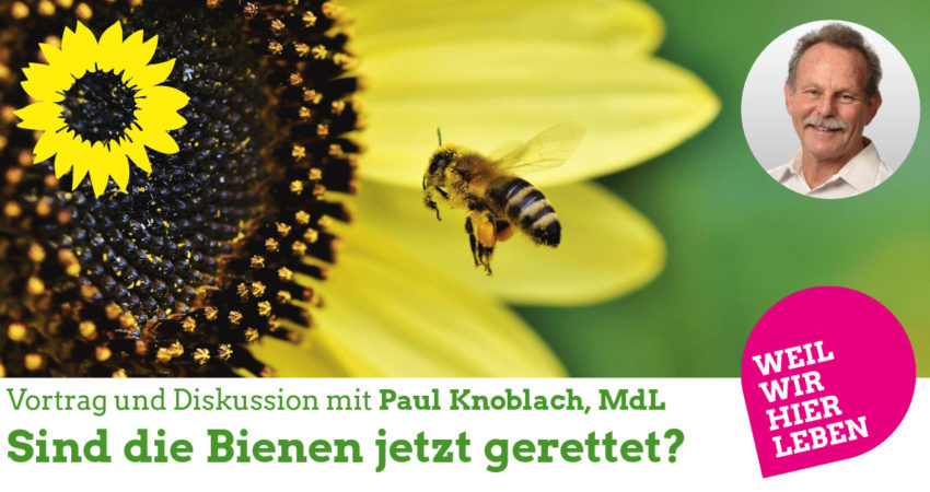 MdL Paul Knoblach: Sind die Bienen jetzt gerettet? MdL Paul Knoblach: Sind die Bienen jetzt gerettet?
