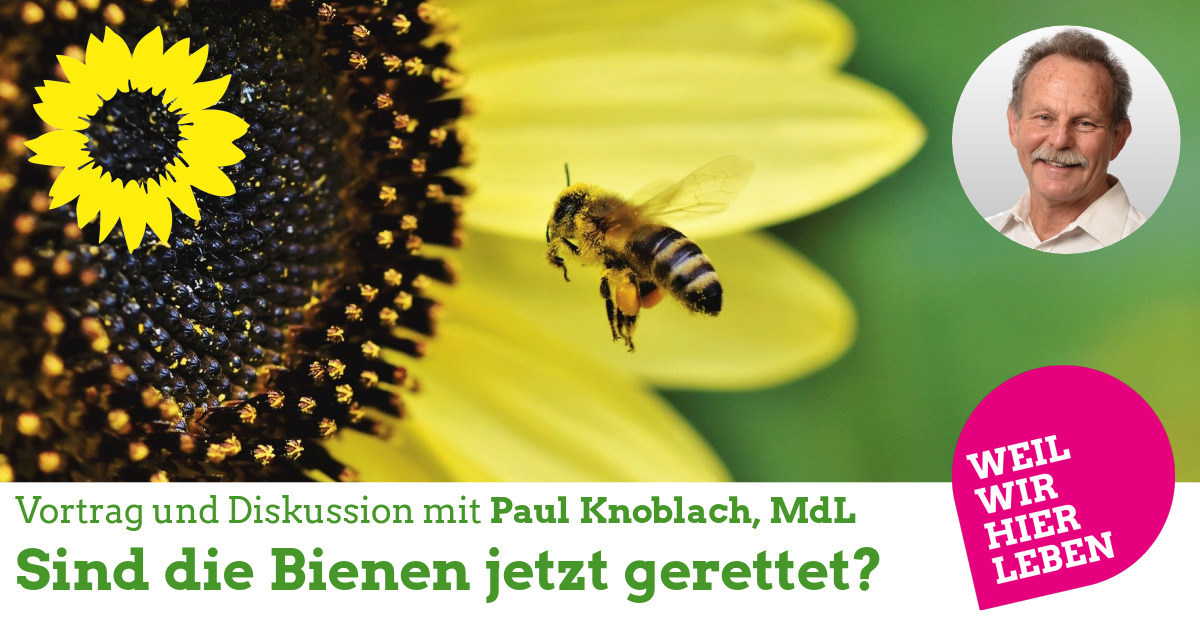 MdL Paul Knoblach: Sind die Bienen jetzt gerettet?