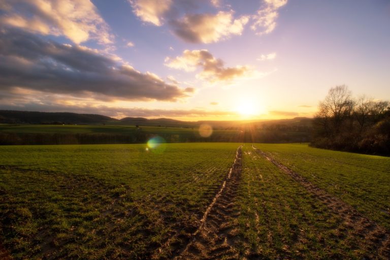 Für klimafreundliche Ernährung muss Bio UND regional Hand in Hand gehen