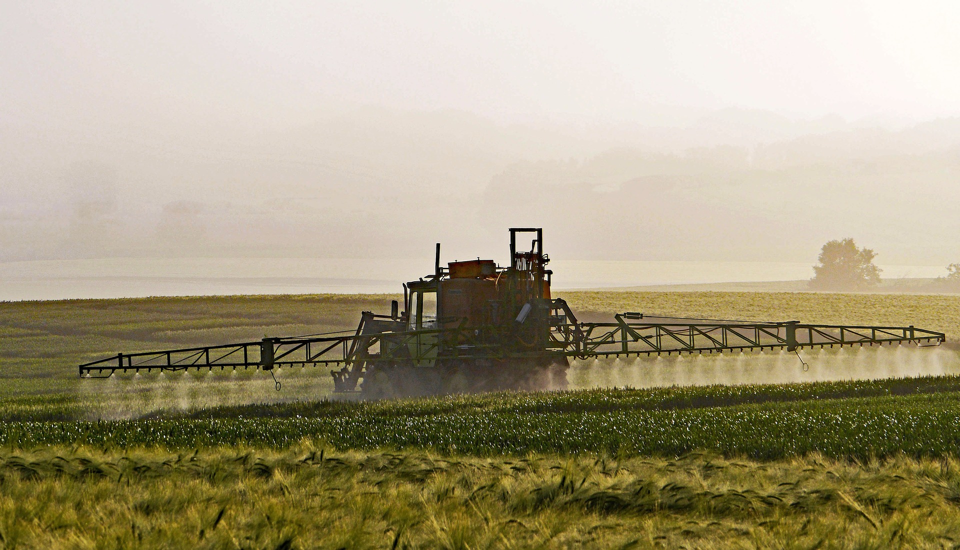 Pestizideinsatz in der Landwirtschaft