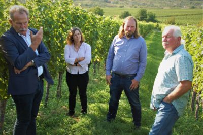 Winzertour mit Toni Hofreiter