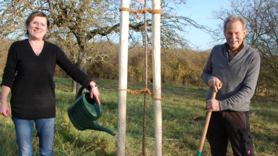 Kreisrätin und Fraktionsvorsitzende Birgit Schmitt (Ettleben) und MdL Paul Knoblach (Garstadt) pflanzen einen Korbiniansapfelbaum