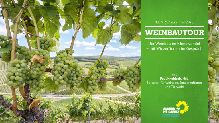 Video zur Weinbautour 2020: Der Weinbau im Klimawandel – mit Winzer*innen im Gespräch