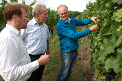 Beim Termin in Kammerforst war neben den beiden Abgeordneten Karl Bär und Paul Knoblach mit dem Naturland-Fachberater für Wein- und Obstbau, Wolfgang Patzwahl (Sulzfeld), ein weiterer Gesinnungsgenosse in Sachen Öko-Anbau mit von der Partie. Foto: Hannes Helferich