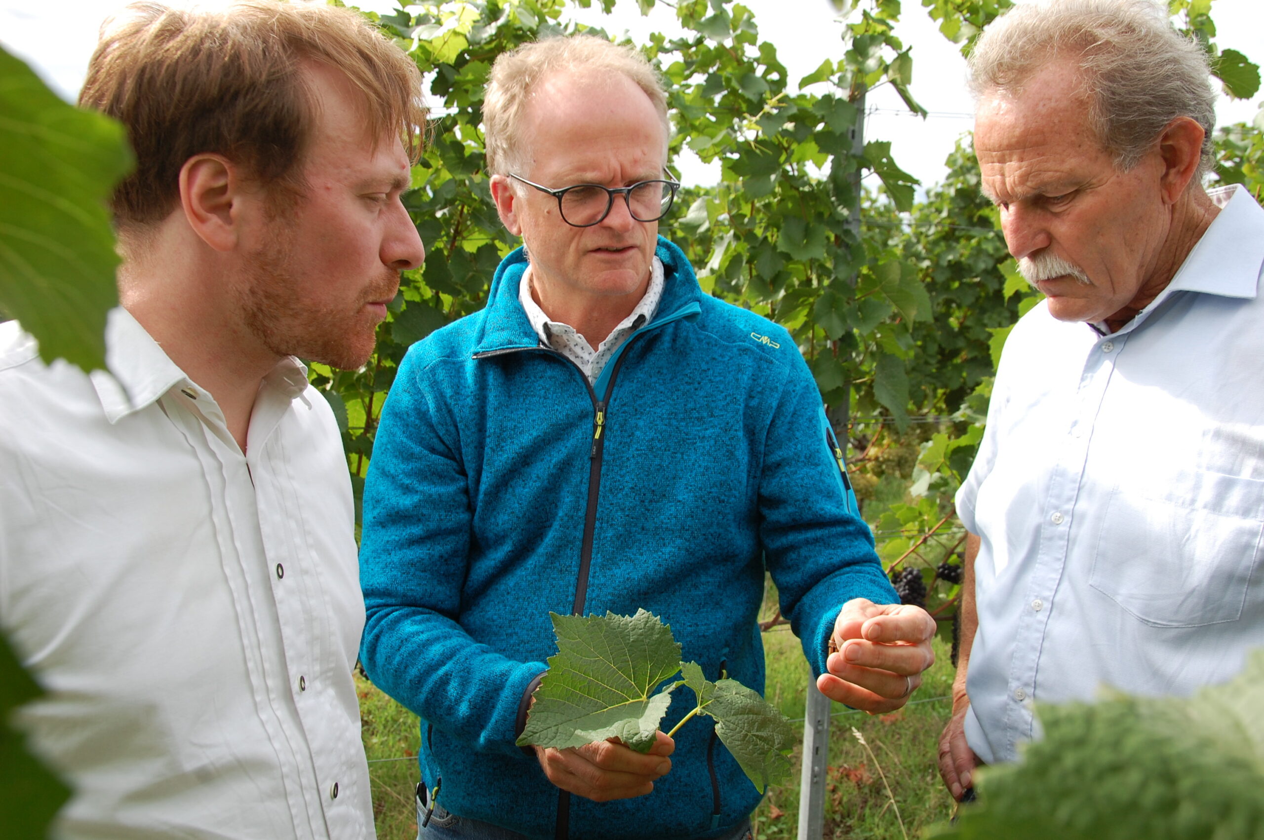 Beim Termin in Kammerforst war neben den beiden Abgeordneten Karl Bär und Paul Knoblach mit dem Naturland-Fachberater für Wein- und Obstbau, Wolfgang Patzwahl (Sulzfeld), ein weiterer Gesinnungsgenosse in Sachen Öko-Anbau mit von der Partie.