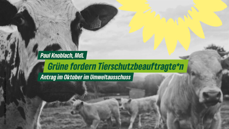 Grüne fordern Tierschutzbeauftragte*n