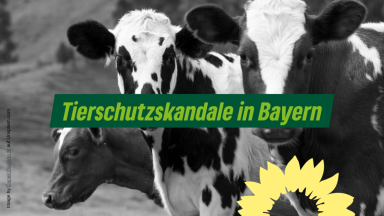 Tierschutzskandale in Bayern