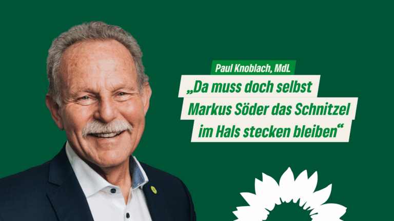Skandal in Schweinemastbetrieb