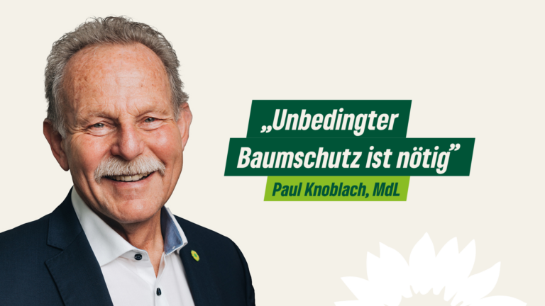 Knoblach: Unbedingter Baumschutz ist nötig