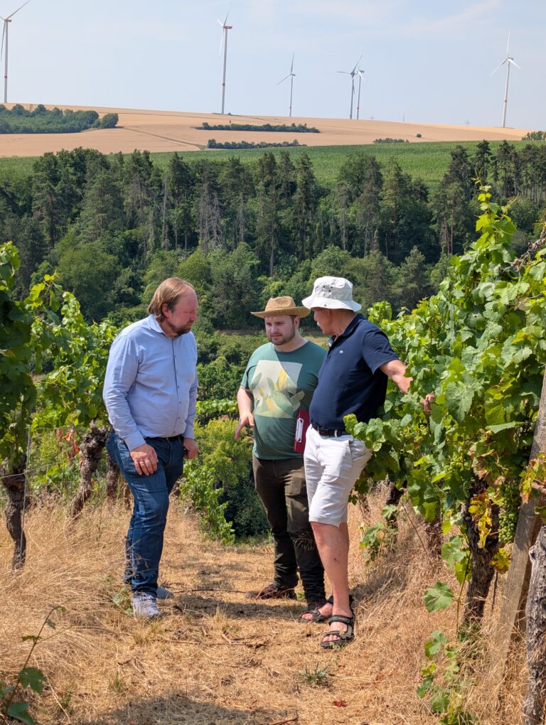Weinbautour durch Unterfranken mit Toni Hofreiter