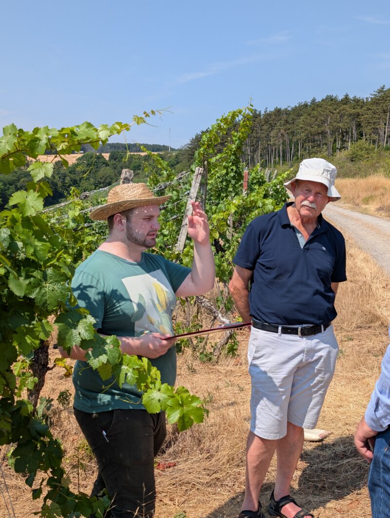 In den Weinbergen des Hüttenthals bei Erlabrunn erklärt der lokale Winzer Maximilian Haas (links) den Abgeordneten zwischen seinen eigenen Weinreben die Vorteile der Nutzung von Drohnen im Weinbau. Foto: Kai Markert