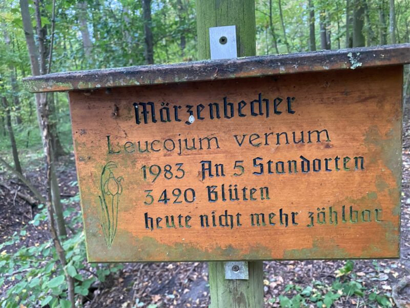 Auf Hinweistafeln gibt es reichhaltigen Informationen. Foto Hannes Helferich